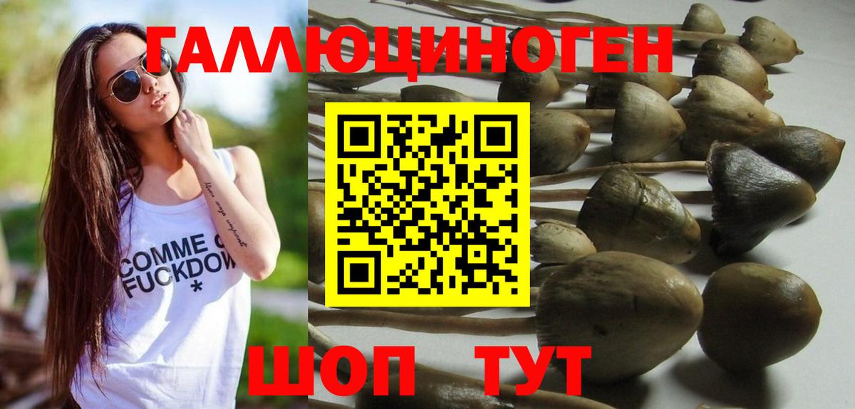 Галлюциногенные грибы MAGIC MUSHROOMS Тихорецк